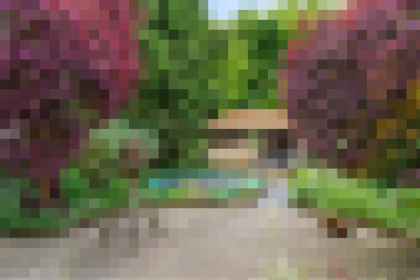 Heideweg 14 Arnhem thumbnail 4
