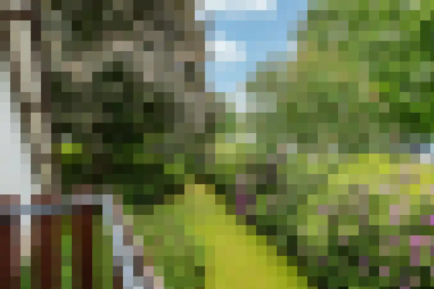 Heideweg 2 Heel thumbnail 21