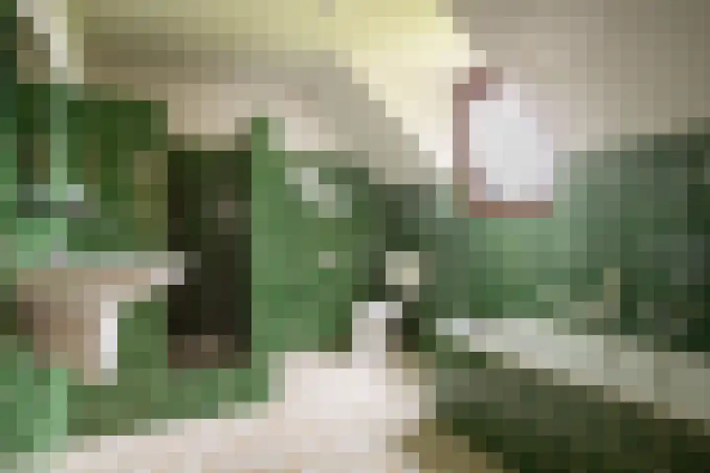Heideweg 2 Heel thumbnail 28