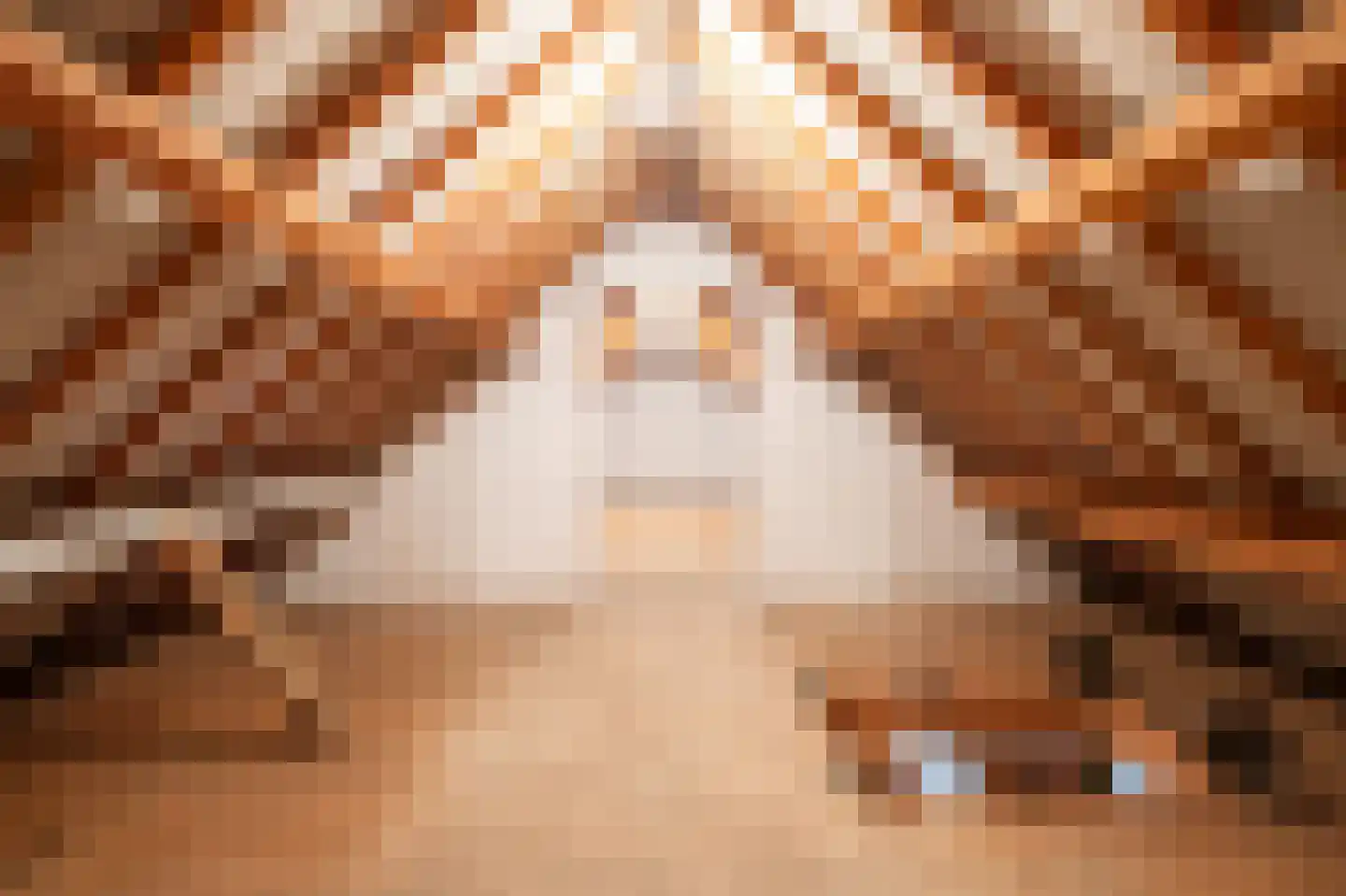Heideweg 2 Heel thumbnail 31