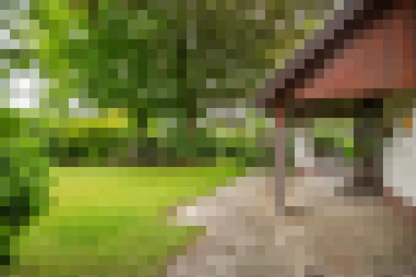 Heideweg 2 Heel thumbnail 33