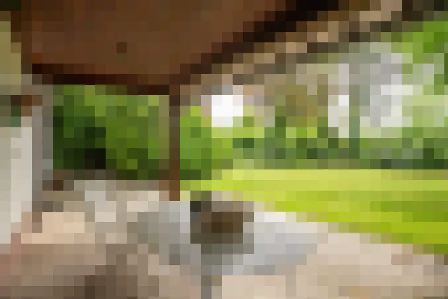 Heideweg 2 Heel thumbnail 34