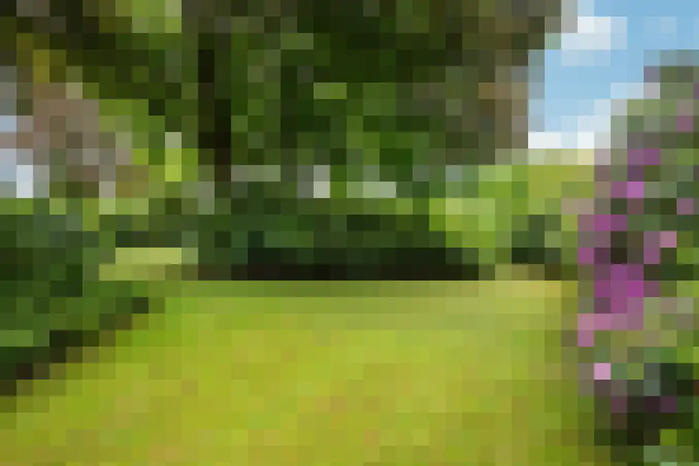 Heideweg 2 Heel thumbnail 35