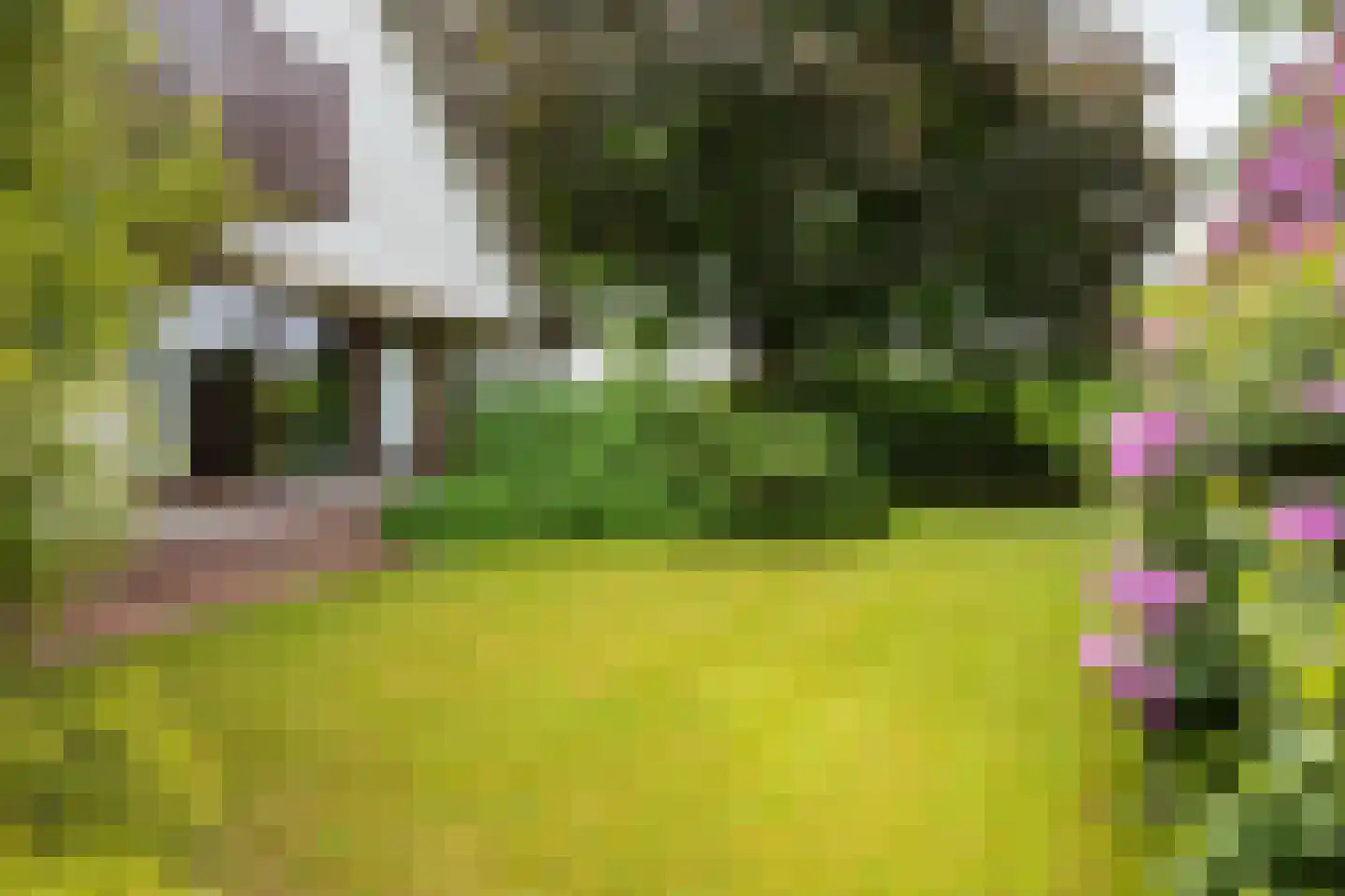 Heideweg 2 Heel thumbnail 39