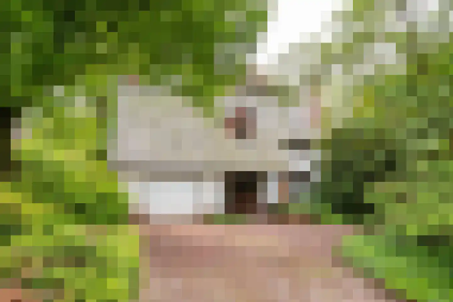 Heideweg 2 Heel thumbnail 4