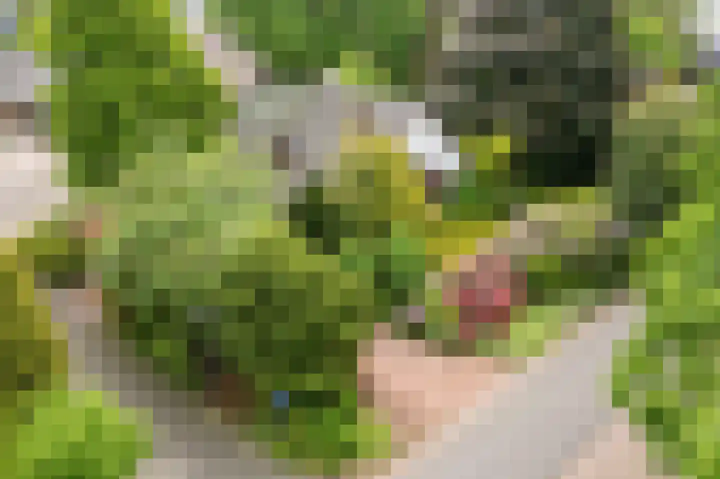 Heideweg 2 Heel thumbnail 40