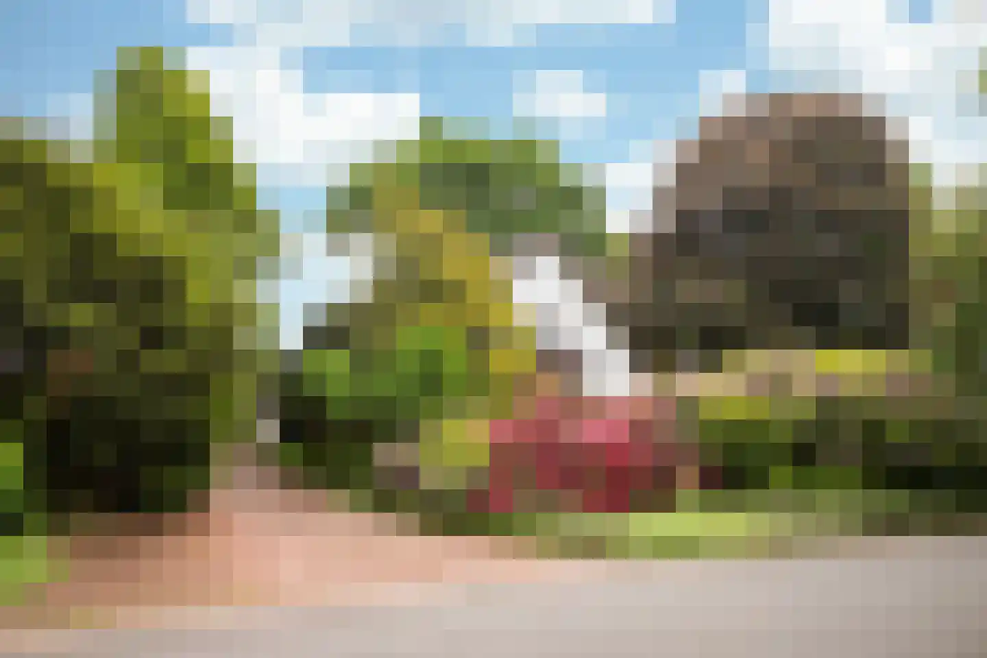Heideweg 2 Heel thumbnail 42