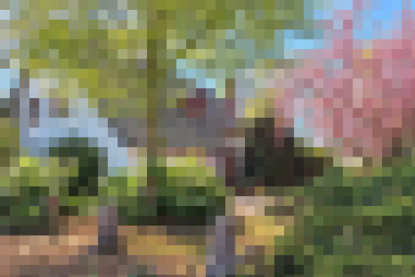 Heideweg 2 Heel thumbnail 44