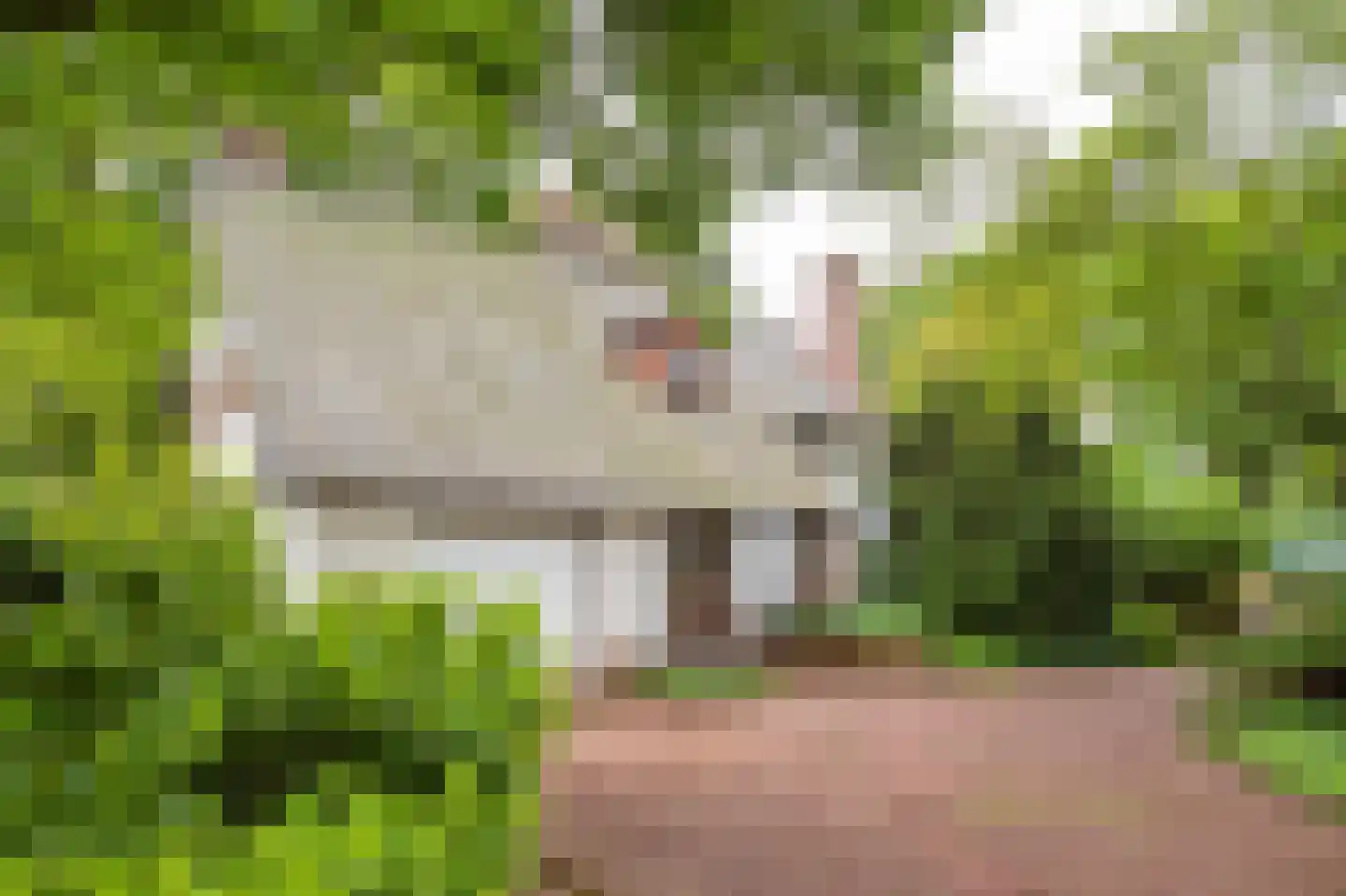 Heideweg 2 Heel thumbnail 46