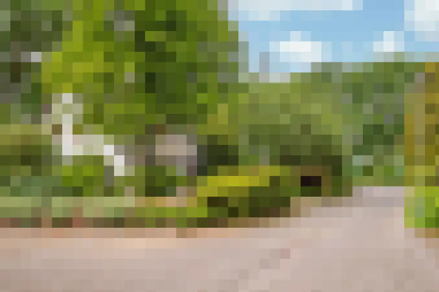 Heideweg 2 Heel thumbnail 48