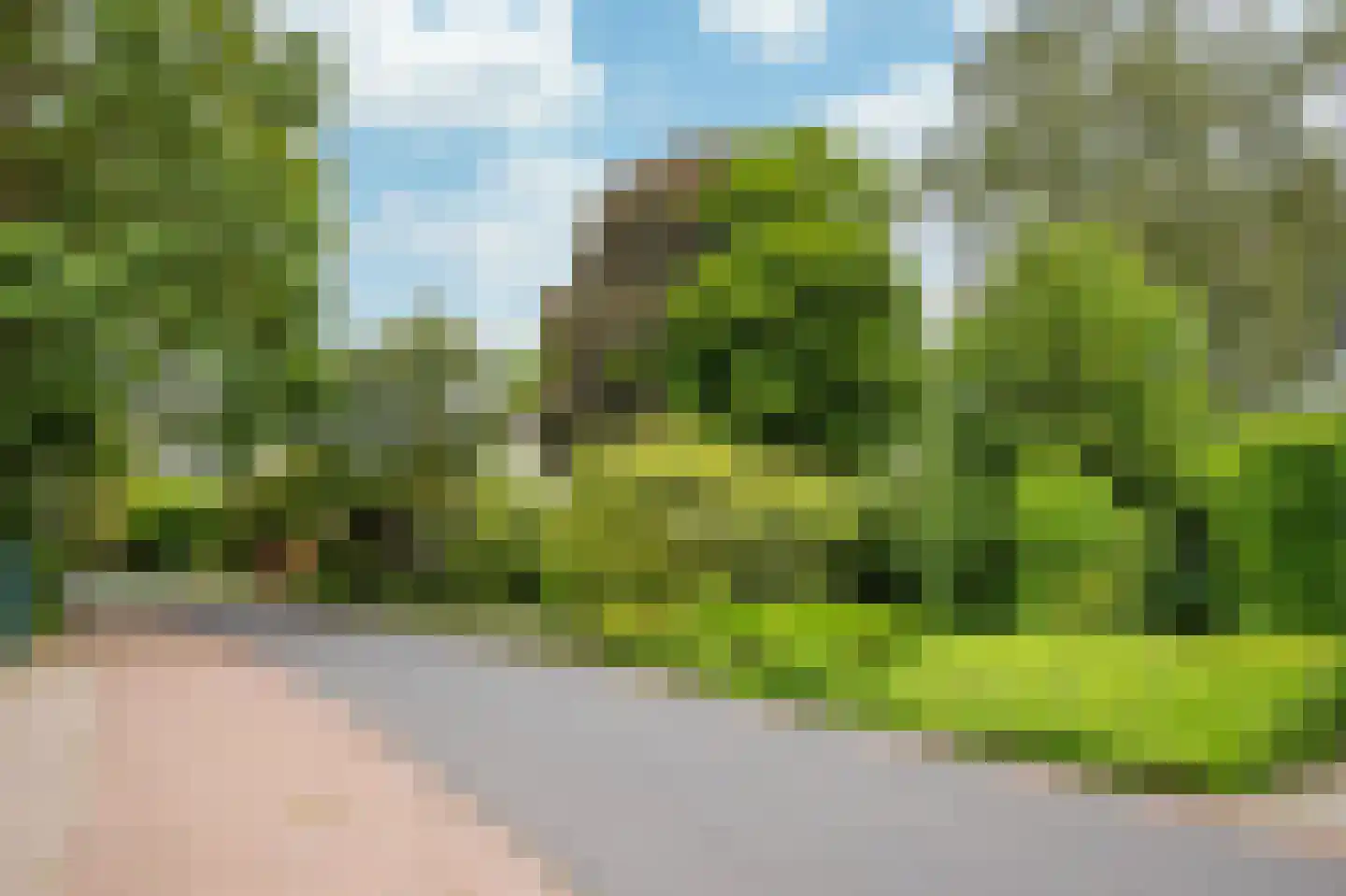 Heideweg 2 Heel thumbnail 49