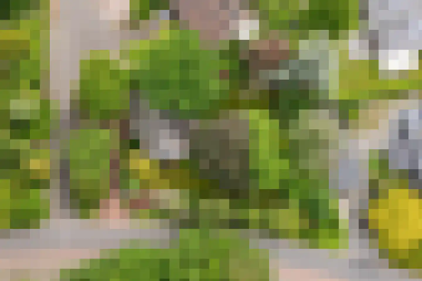 Heideweg 2 Heel thumbnail 52