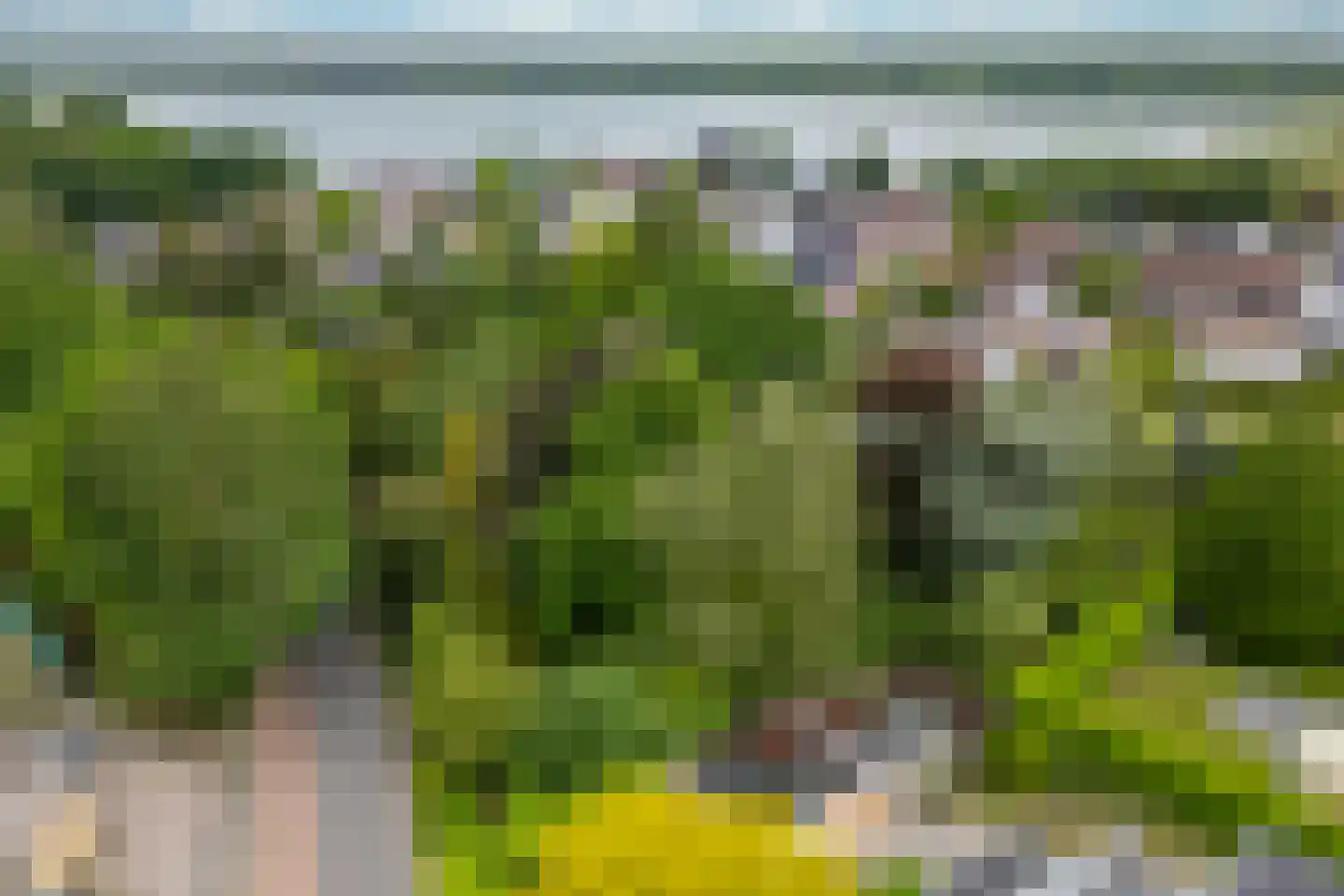 Heideweg 2 Heel thumbnail 54