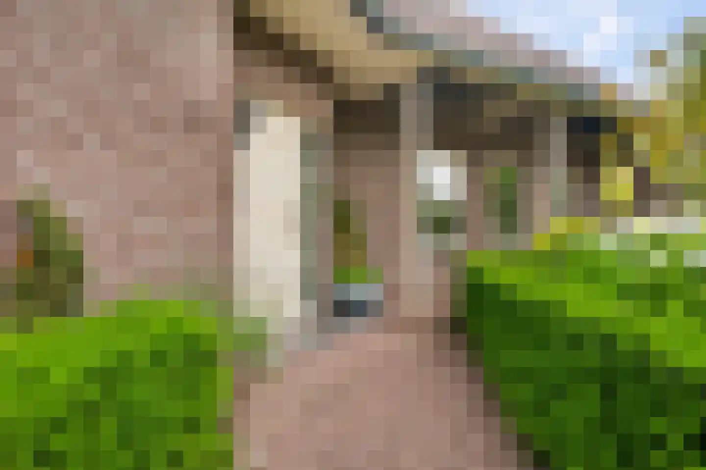 Heideweg 21 Heel thumbnail 10