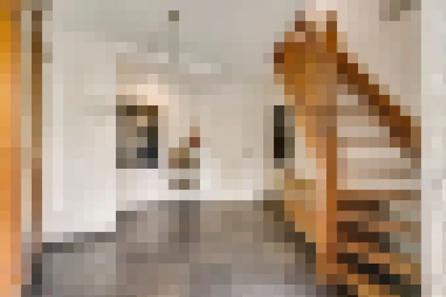 Heideweg 21 Heel thumbnail 11