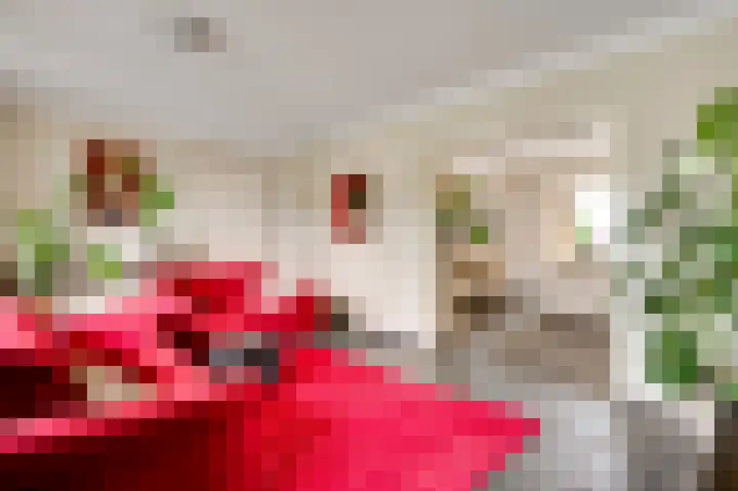 Heideweg 21 Heel thumbnail 18