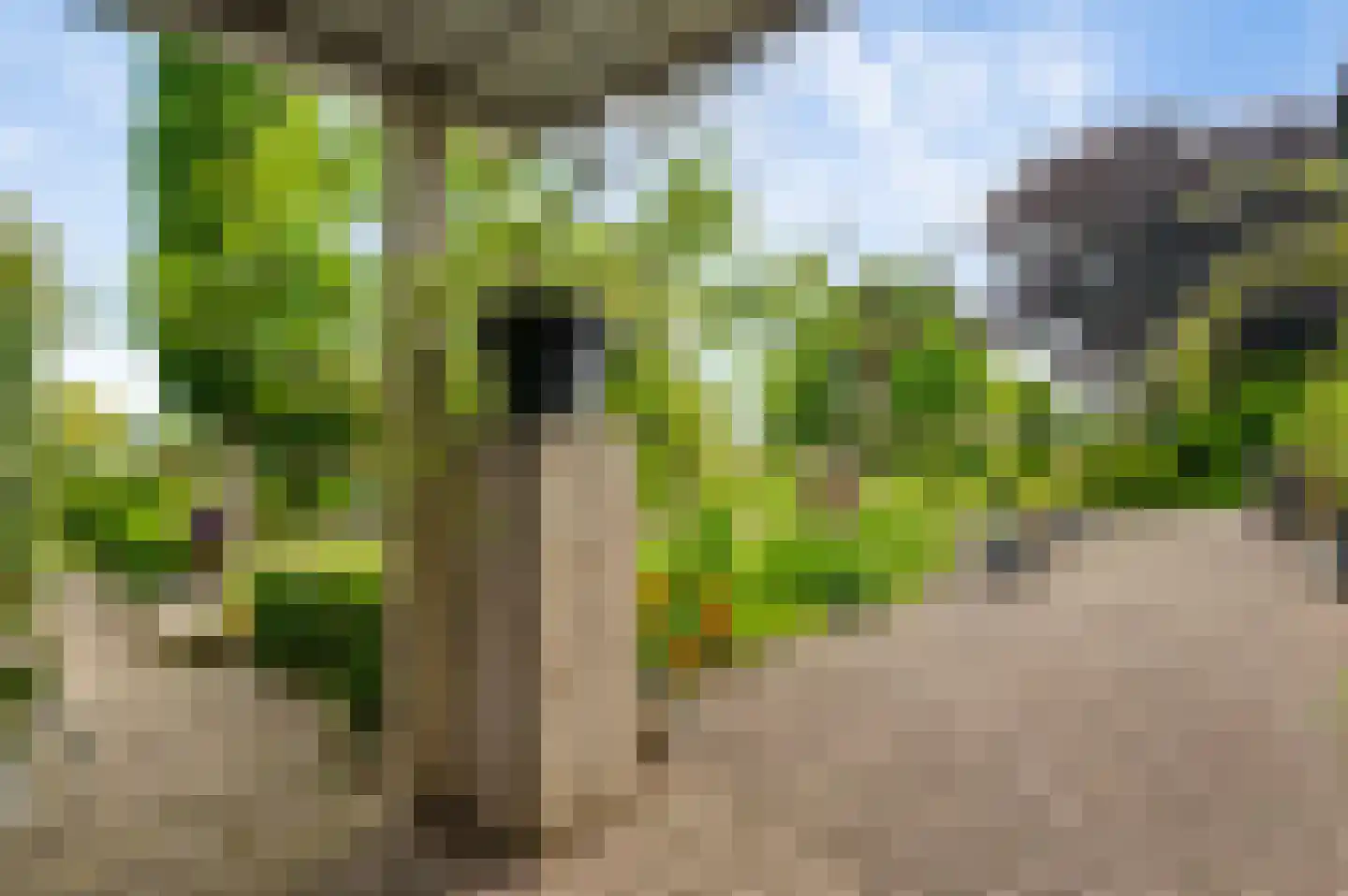 Heideweg 21 Heel thumbnail 54