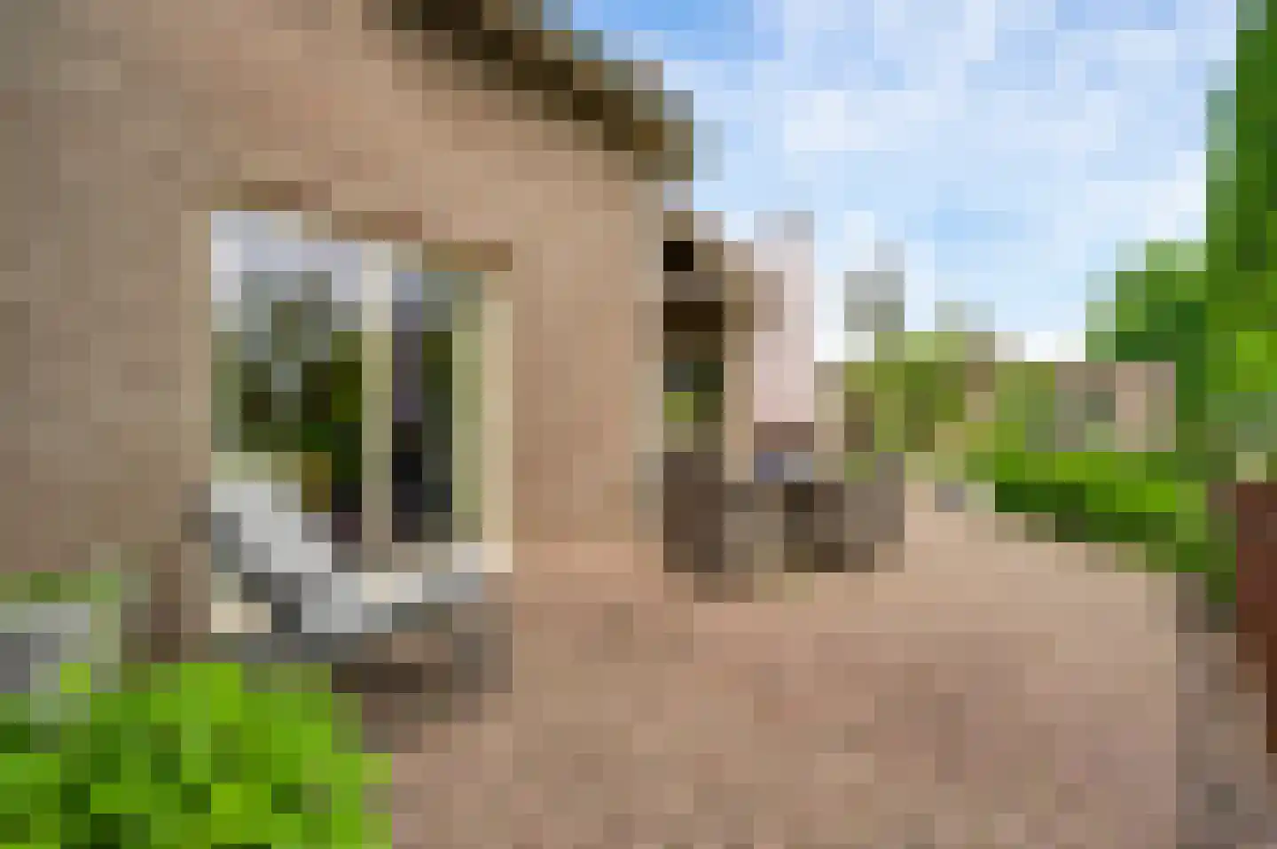 Heideweg 21 Heel thumbnail 58