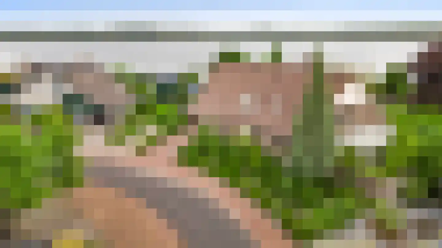 Heideweg 21 Heel thumbnail 6