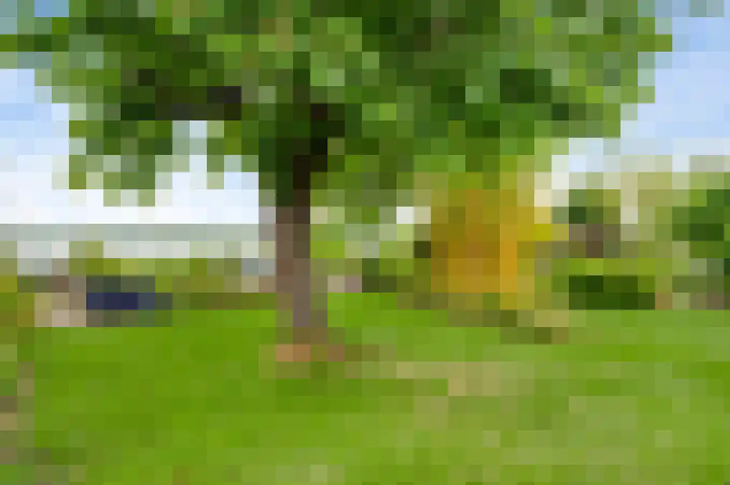 Heideweg 21 Heel thumbnail 61