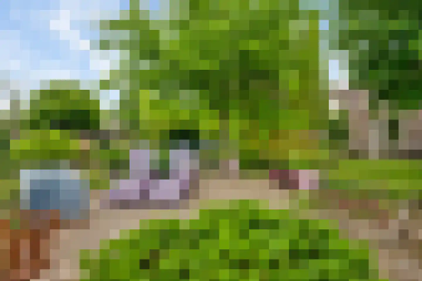 Heideweg 21 Heel thumbnail 62