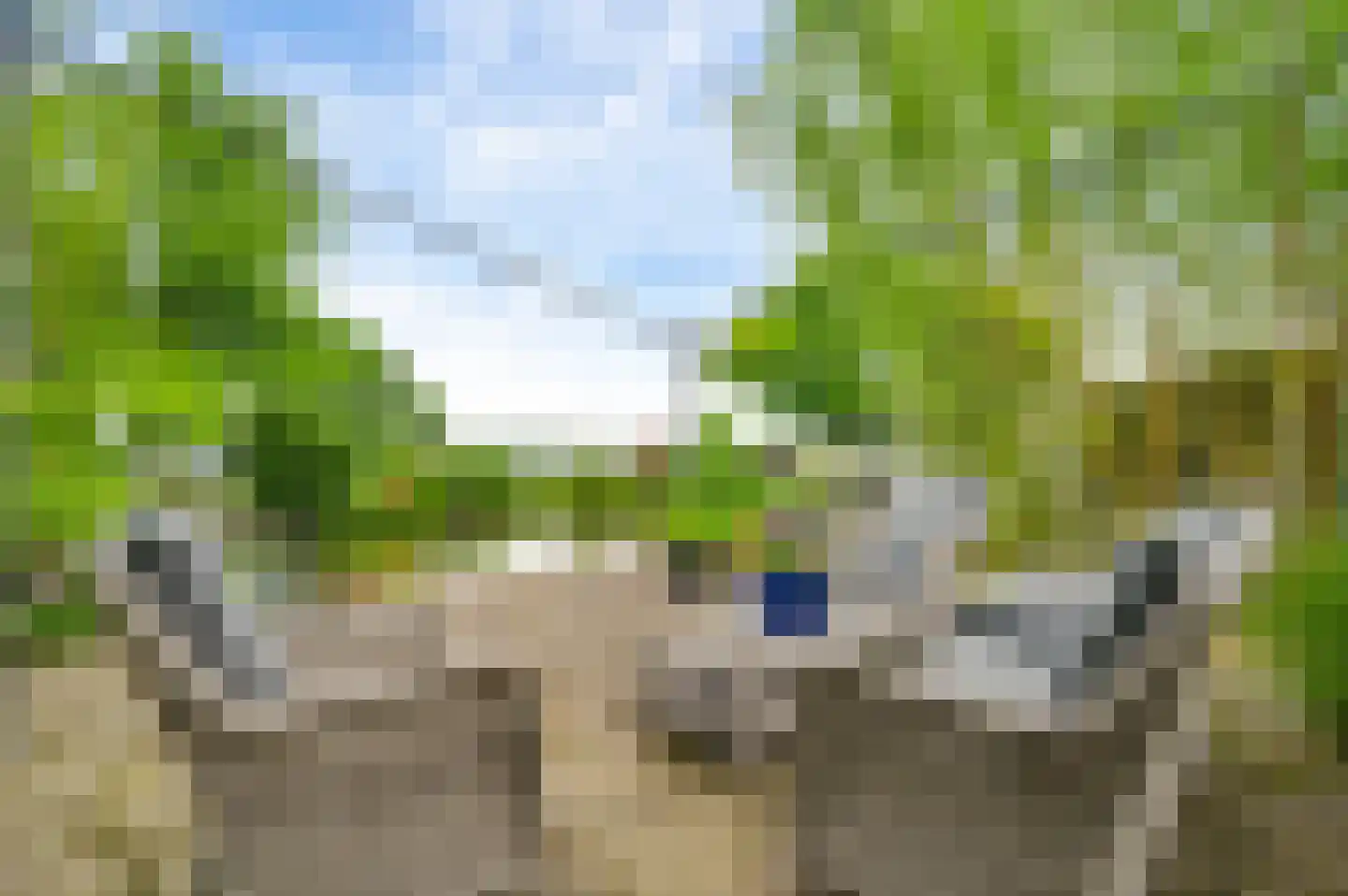 Heideweg 21 Heel thumbnail 63