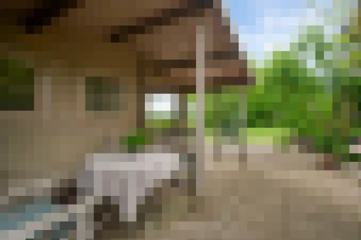 Heideweg 21 Heel thumbnail 65