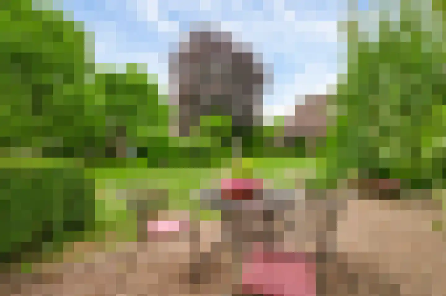 Heideweg 21 Heel thumbnail 68