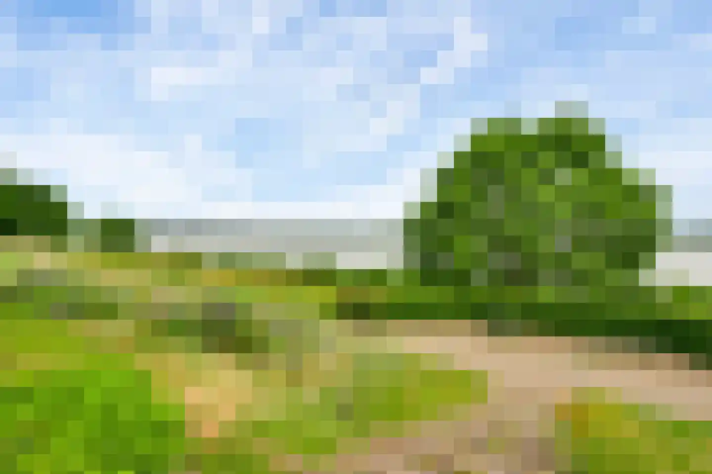 Heideweg 21 Heel thumbnail 73