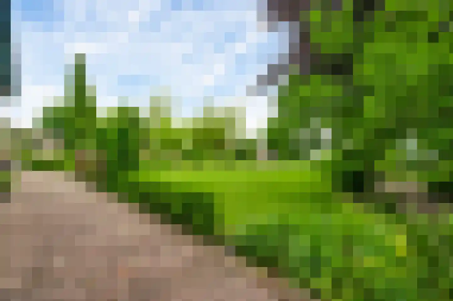 Heideweg 21 Heel thumbnail 74