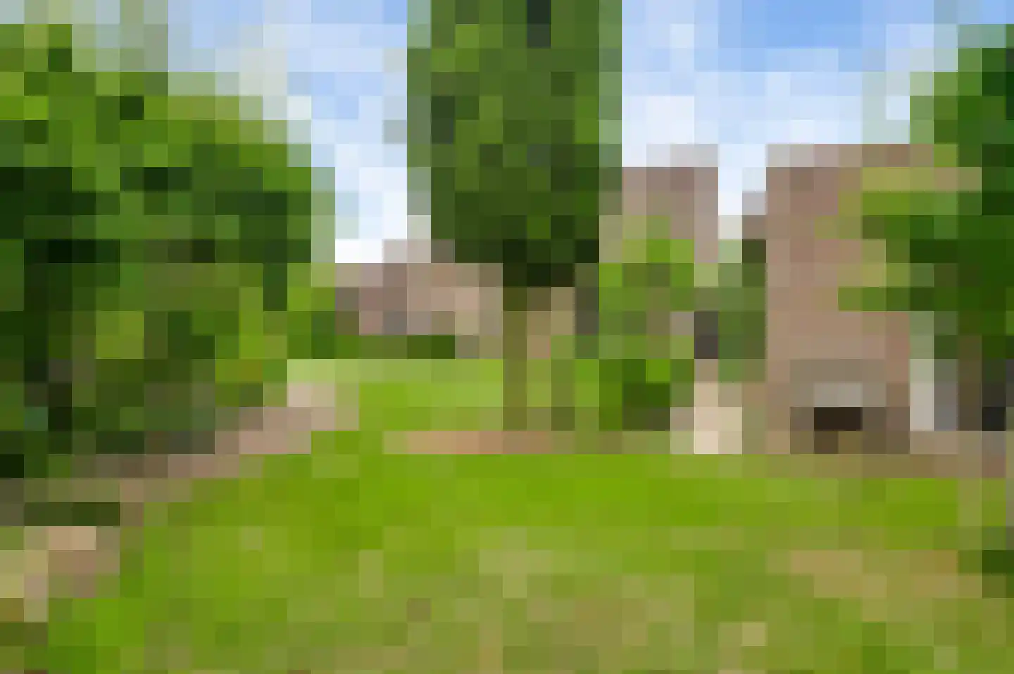 Heideweg 21 Heel thumbnail 75