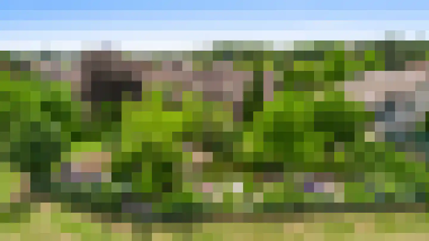 Heideweg 21 Heel thumbnail 76