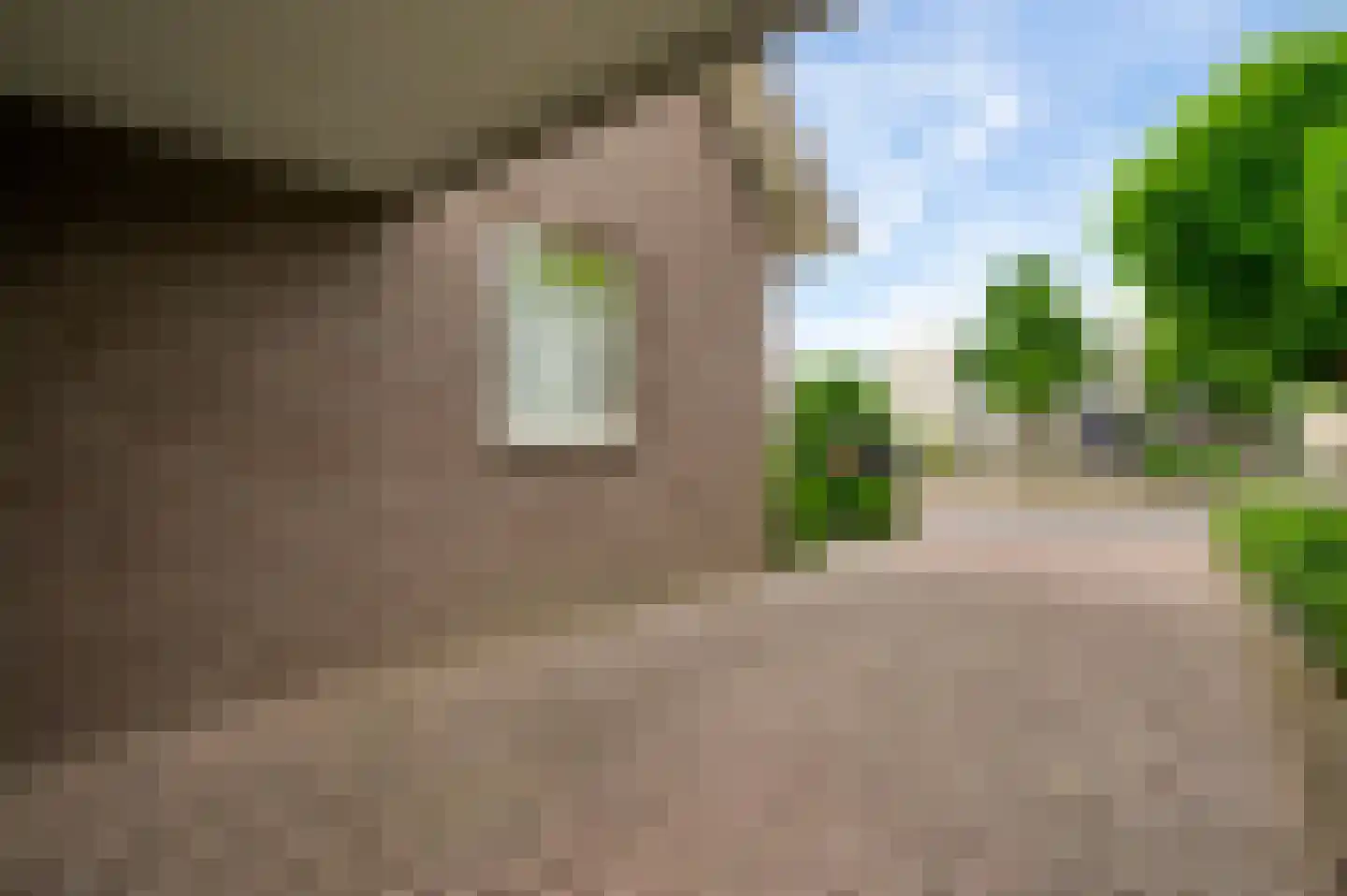 Heideweg 21 Heel thumbnail 77