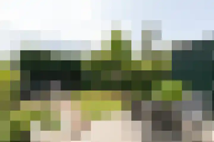 Heideweg 24 Arnhem thumbnail 32