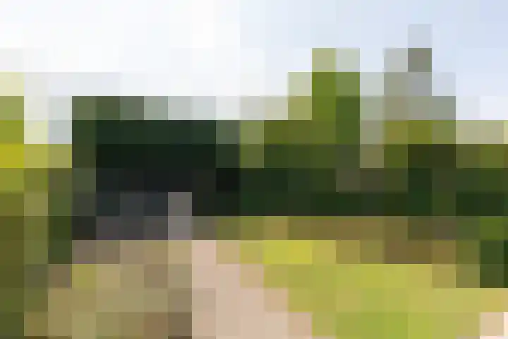 Heideweg 24 Arnhem thumbnail 33