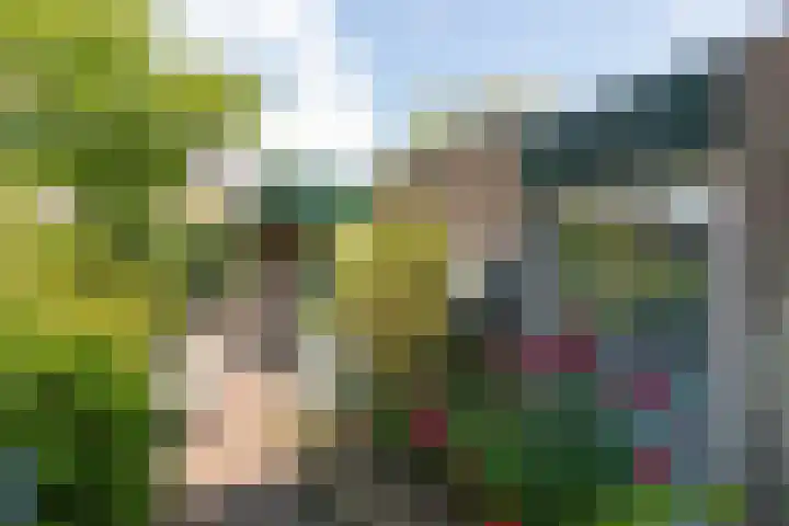 Heideweg 24 Arnhem thumbnail 36