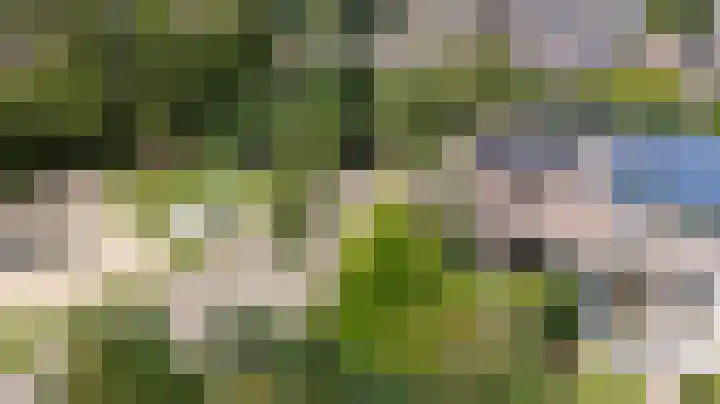 Heideweg 24 Arnhem thumbnail 37