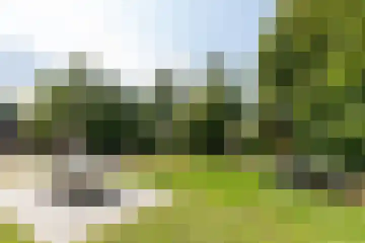 Heideweg 24 Arnhem thumbnail 39