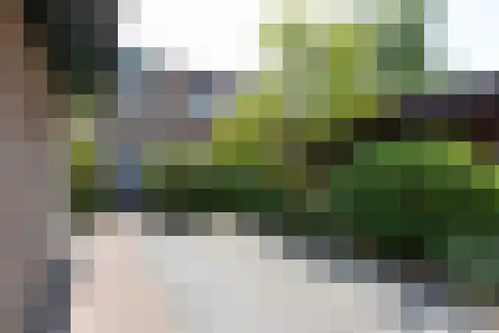 Heideweg 24 Arnhem thumbnail 7
