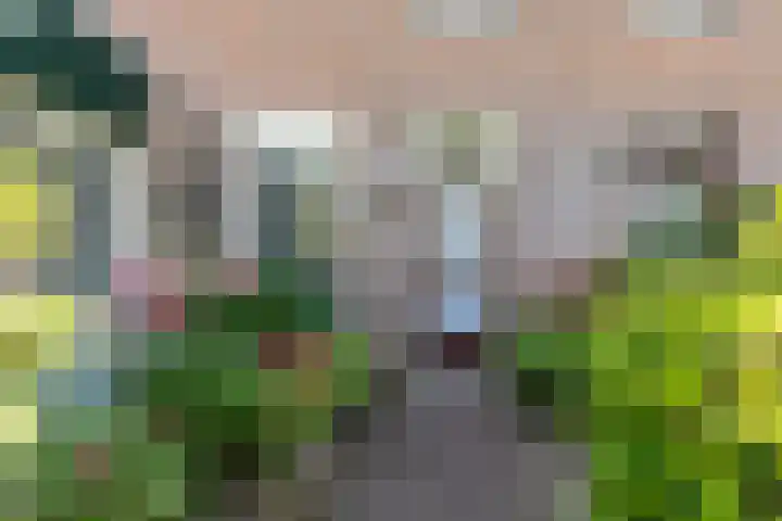 Heideweg 24 Arnhem thumbnail 8