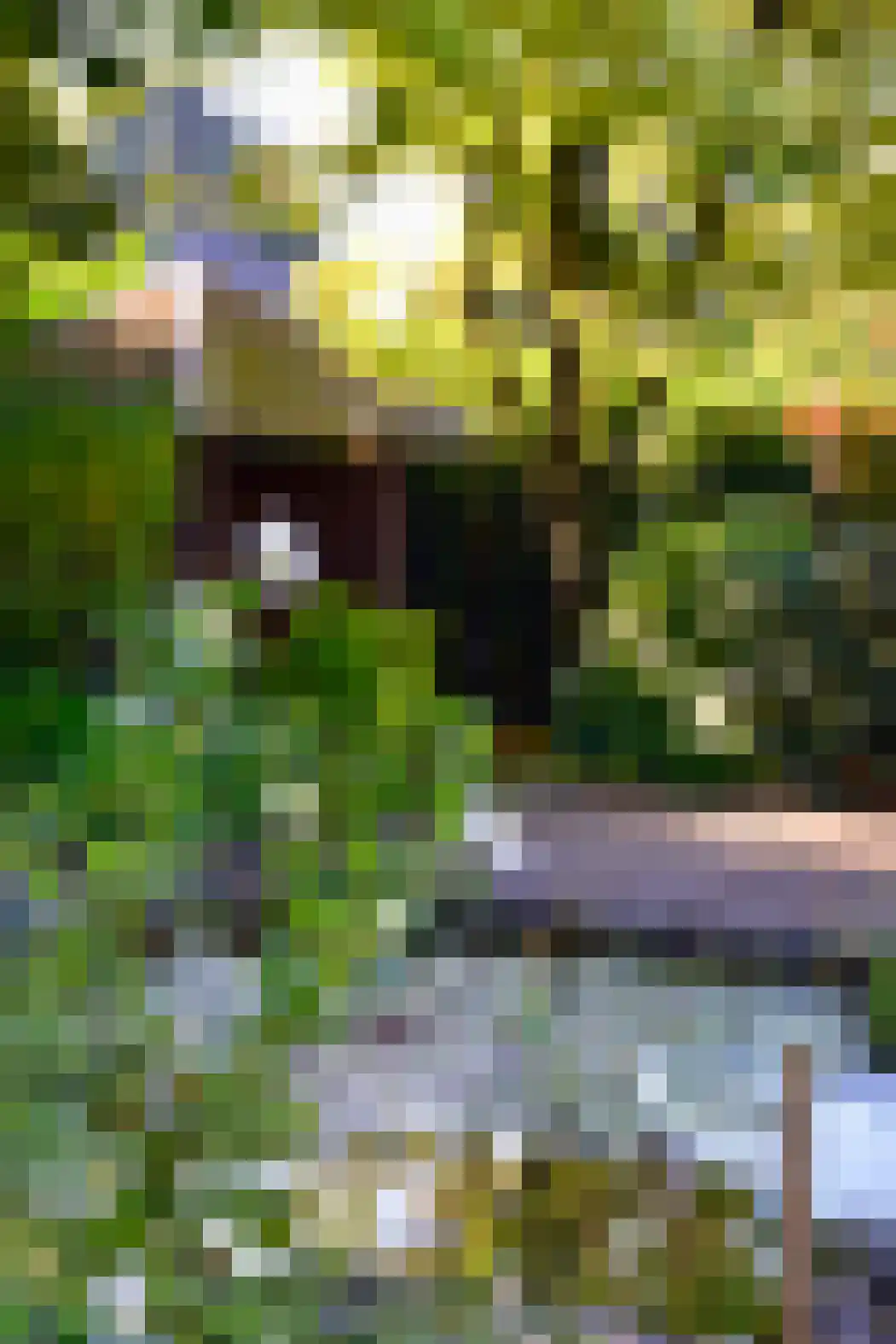 Heideweg 24 Heel thumbnail 43