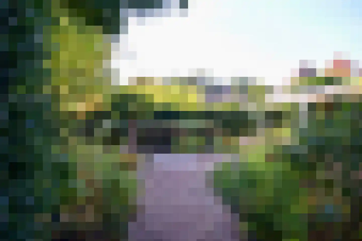 Heideweg 24 Heel thumbnail 45