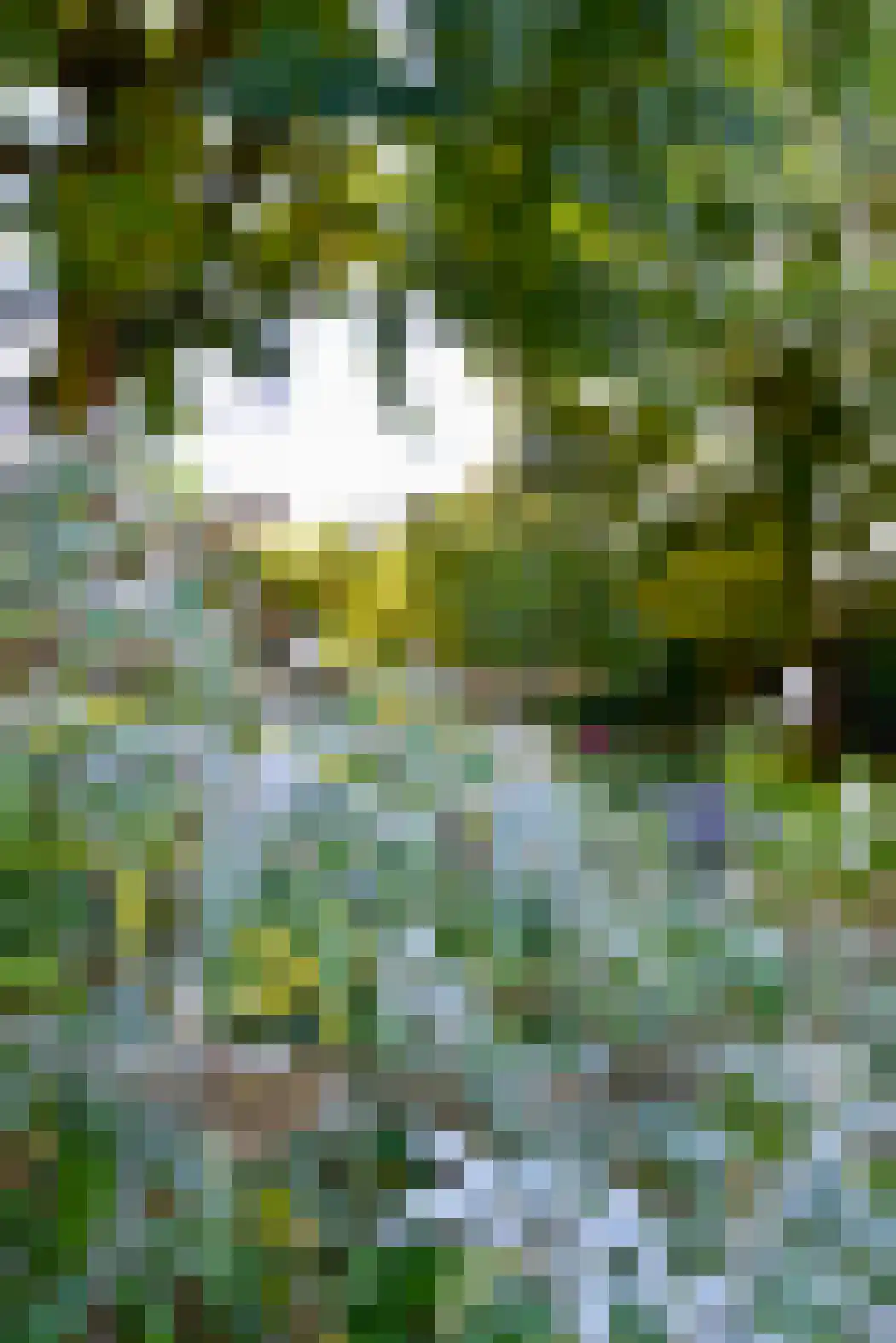 Heideweg 24 Heel thumbnail 48