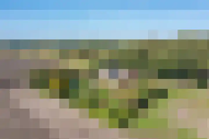 Heideweg 3 in Onstwedde