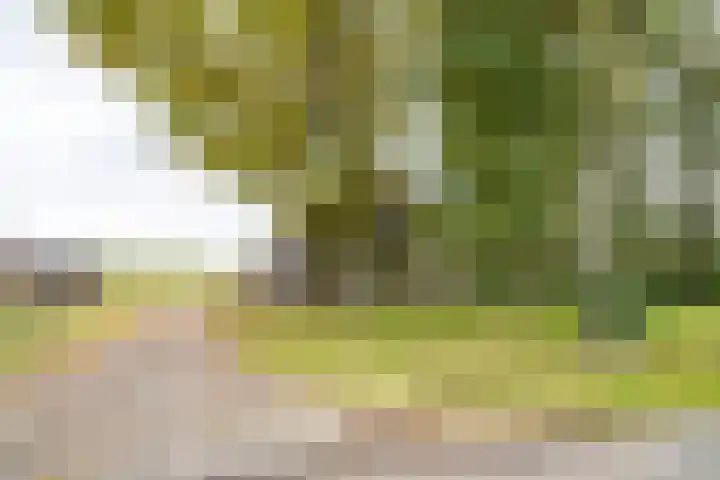 Heideweg 3 Harreveld thumbnail 11