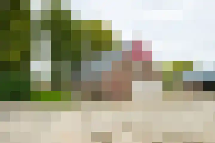Heideweg 3 Harreveld thumbnail 25