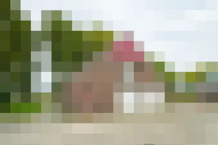 Heideweg 3 Harreveld thumbnail 26