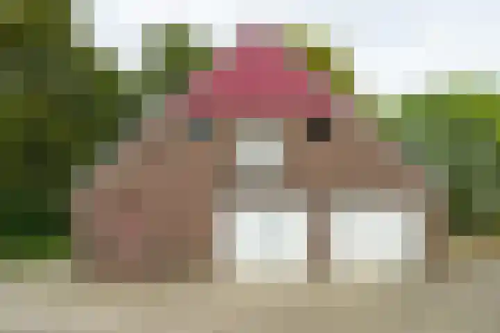 Heideweg 3 Harreveld thumbnail 27