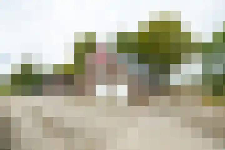 Heideweg 3 Harreveld thumbnail 28