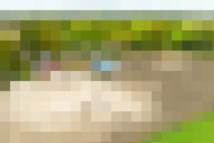 Heideweg 3 Harreveld thumbnail 35